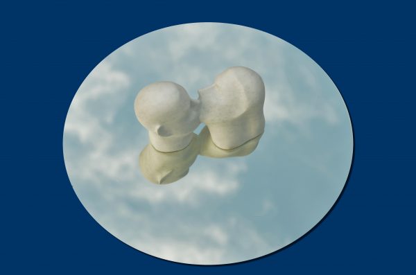 A sea kiss