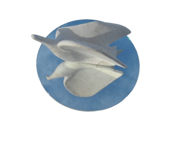 A Bird