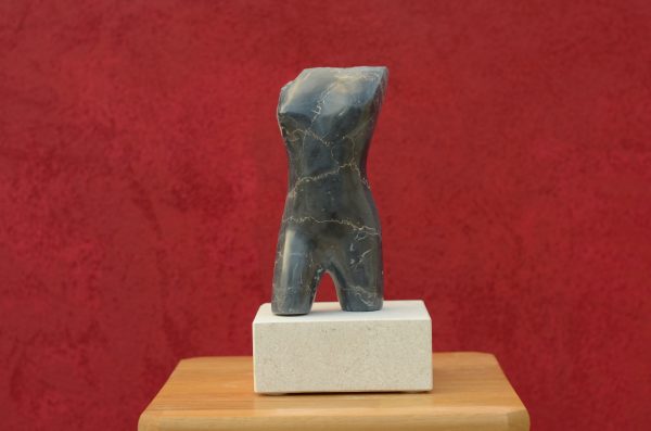 Torso - Image 2