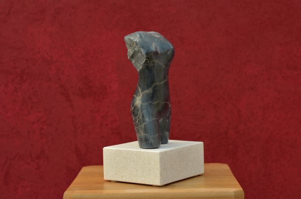 Torso - Image 3
