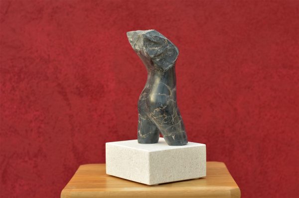 Torso - Image 4