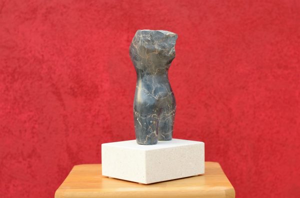 Torso - Image 5