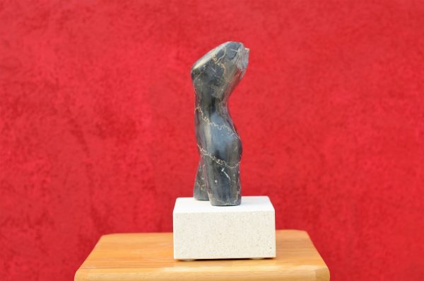 Torso - Image 6