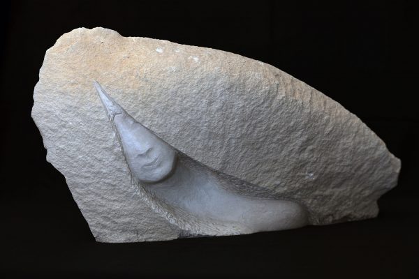 Woman Fish - Image 2