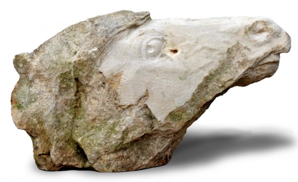 Horse head